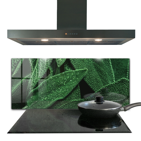 Panneau pour cuisine Feuilles vertes après la pluie