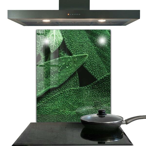 Panneau pour cuisine Feuilles vertes après la pluie