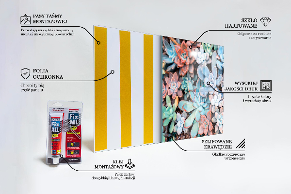 Crédence cuisine en verre Plantes succulentes colorées
