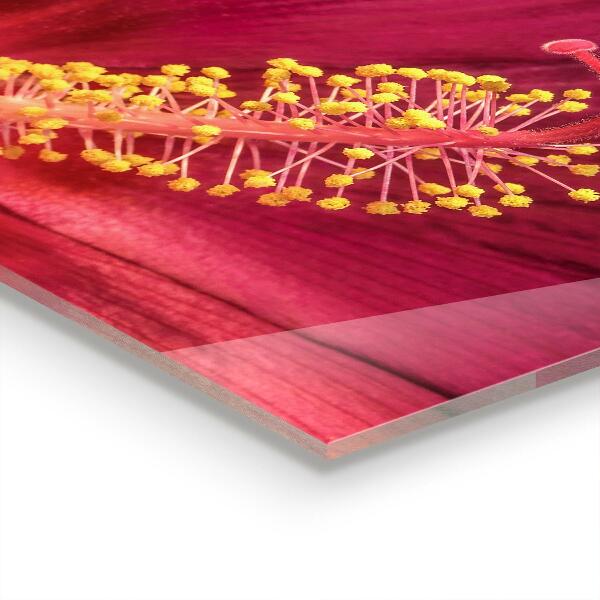 Crédence cuisine en verre Hibiscus rose