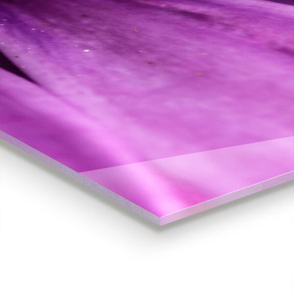 Crédence cuisine en verre Fleur d'été violette