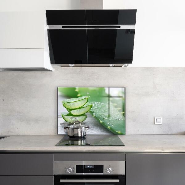 Crédence cuisine en verre Aloe plante d'aloe vera