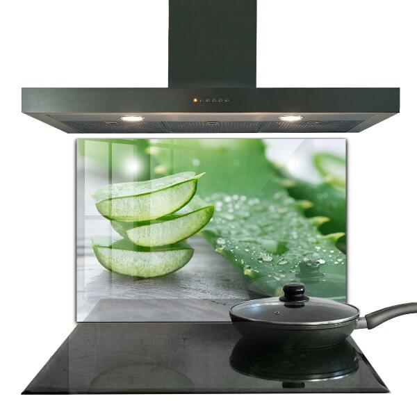 Crédence cuisine en verre Aloe plante d'aloe vera