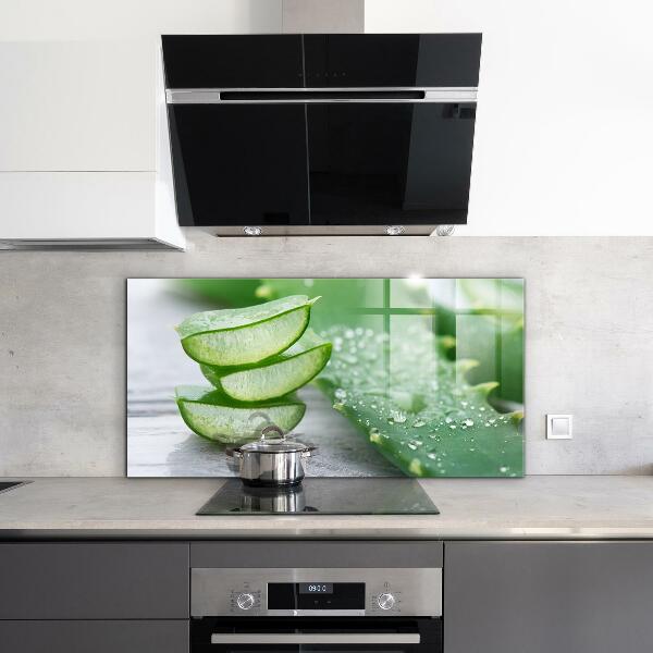 Crédence cuisine en verre Aloe plante d'aloe vera