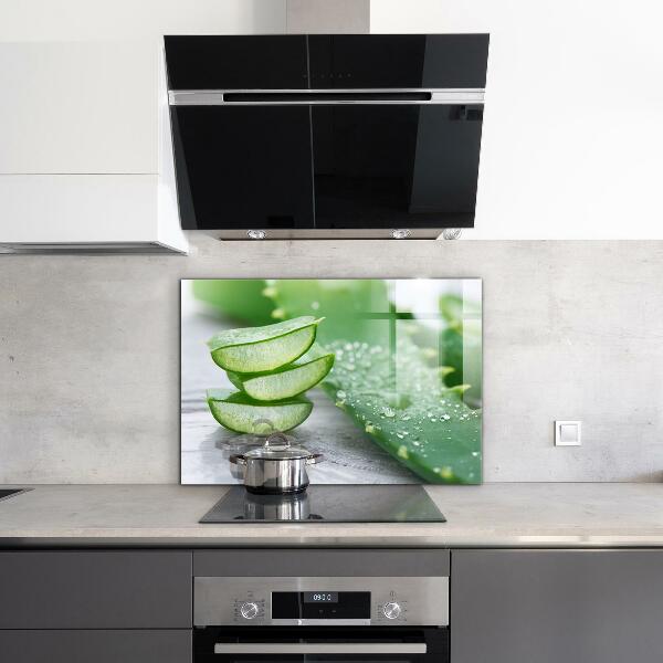 Crédence cuisine en verre Aloe plante d'aloe vera
