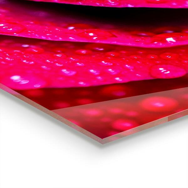 Verre pour crédence Rose symbole d'amour