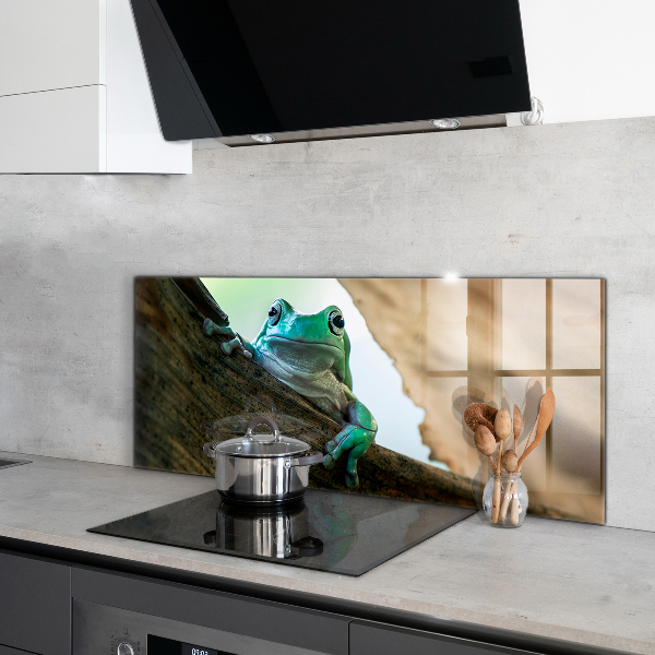 Crédence cuisine en verre Grenouille curieuse sur une feuille