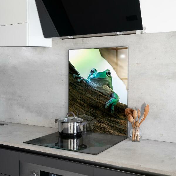Crédence cuisine en verre Grenouille curieuse sur une feuille