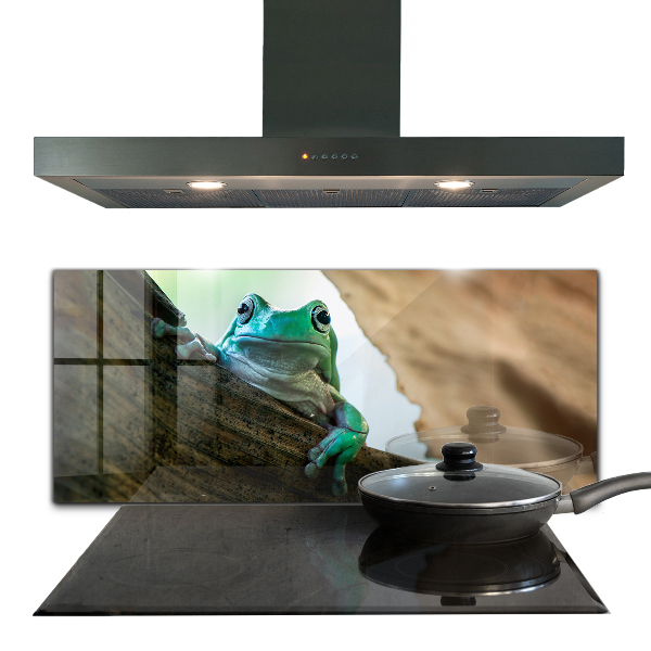 Crédence cuisine en verre Grenouille curieuse sur une feuille