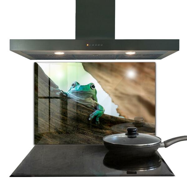 Crédence cuisine en verre Grenouille curieuse sur une feuille