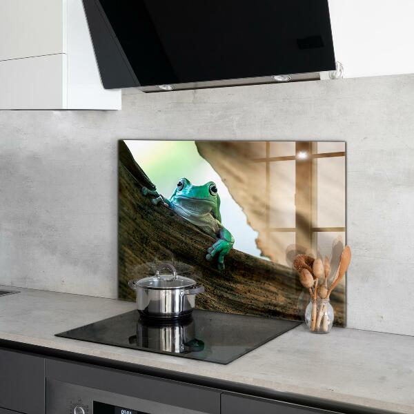 Crédence cuisine en verre Grenouille curieuse sur une feuille
