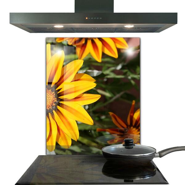 Panneau crédence cuisine Fleur jaune dans le pré