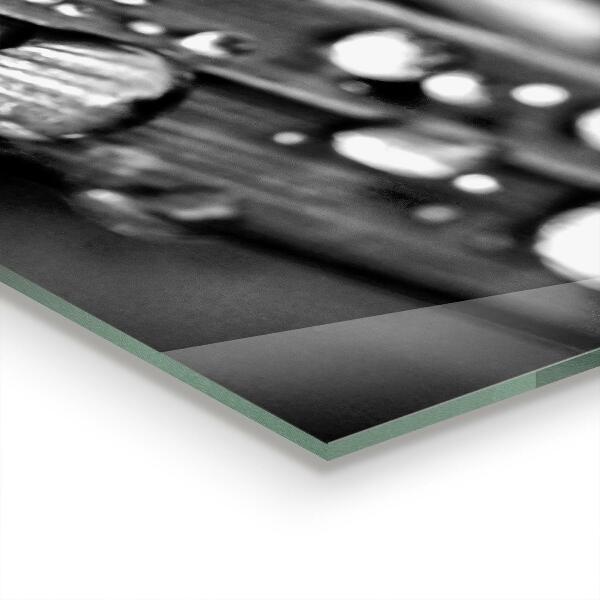 Panneau crédence cuisine Feuille rosa noir et blanc