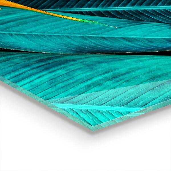 Panneau crédence cuisine Fleur exotique tropicale