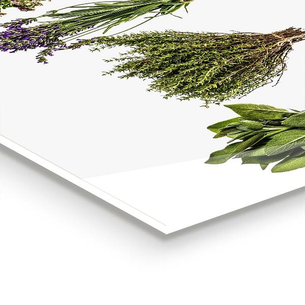 Crédence cuisine en verre Herbes séchées le pouvoir de la nature
