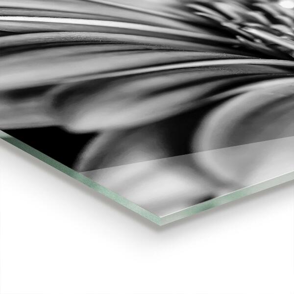 Panneau crédence cuisine Photo noir et blanc gerber