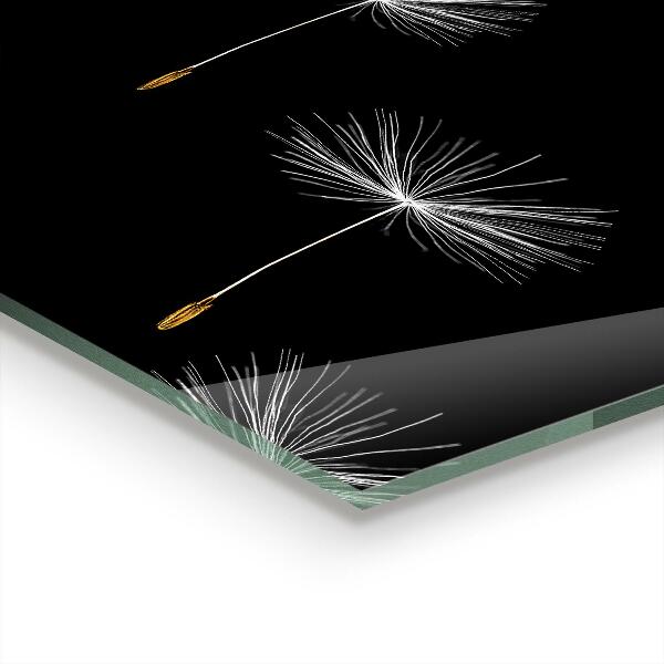 Panneau crédence cuisine Pissenlits dans le vent