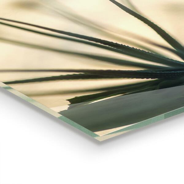 Verre pour crédence Beau pissenlit délicat