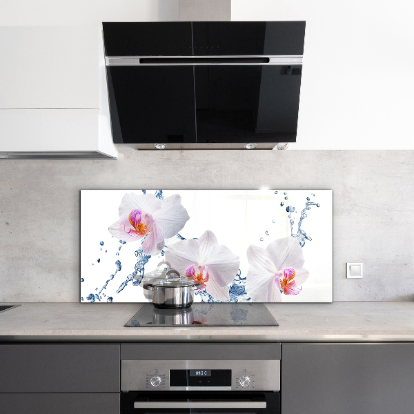Verre pour crédence Orchidée arrosée d'eau