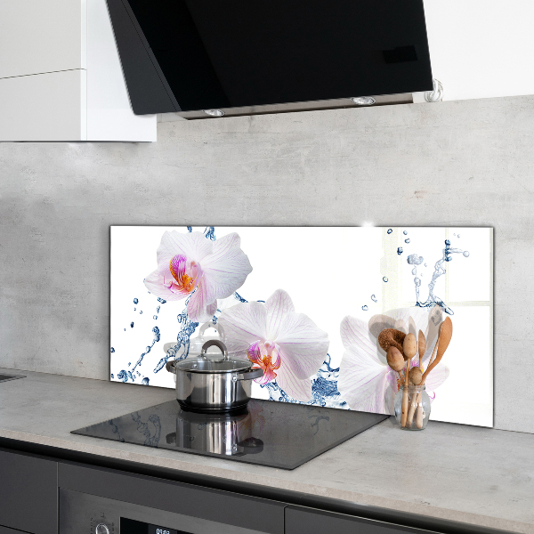 Verre pour crédence Orchidée arrosée d'eau