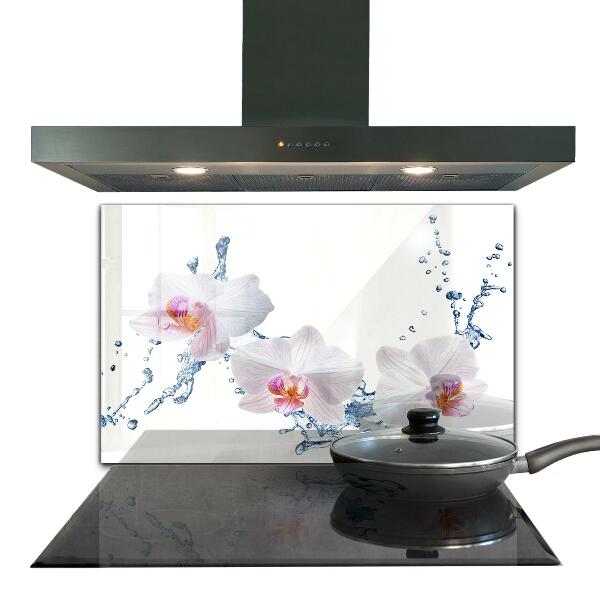 Verre pour crédence Orchidée arrosée d'eau