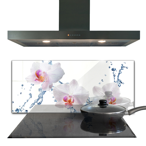 Verre pour crédence Orchidée arrosée d'eau