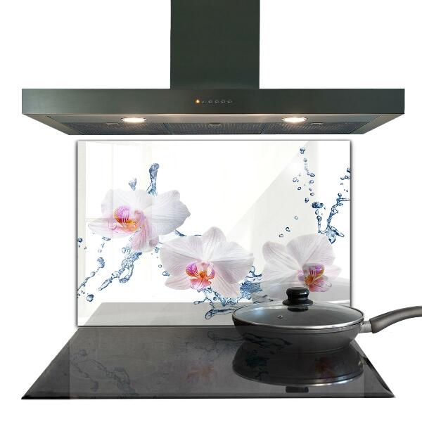 Verre pour crédence Orchidée arrosée d'eau