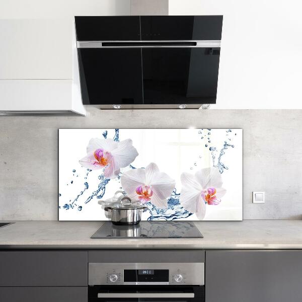 Verre pour crédence Orchidée arrosée d'eau