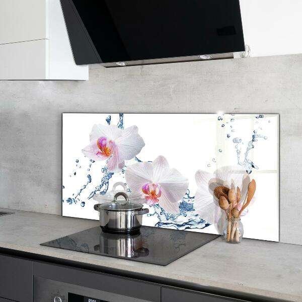 Verre pour crédence Orchidée arrosée d'eau