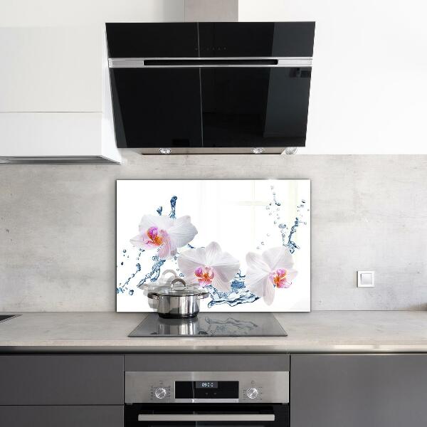 Verre pour crédence Orchidée arrosée d'eau