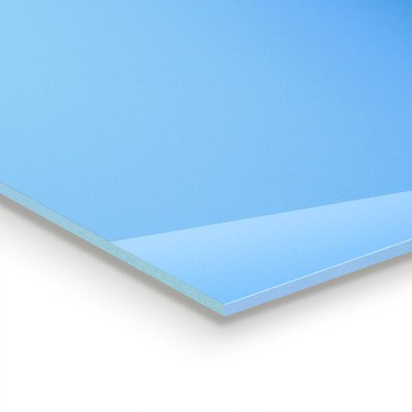 Verre pour crédence Pissenlits délicats