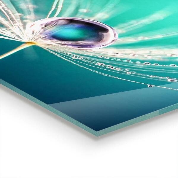 Verre pour crédence Pissenlit avec une goutte de rosée