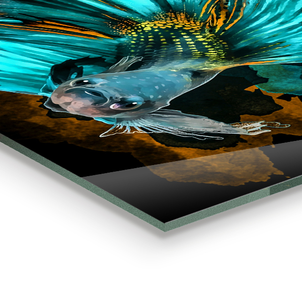 Crédence cuisine en verre Poisson combattant tropical