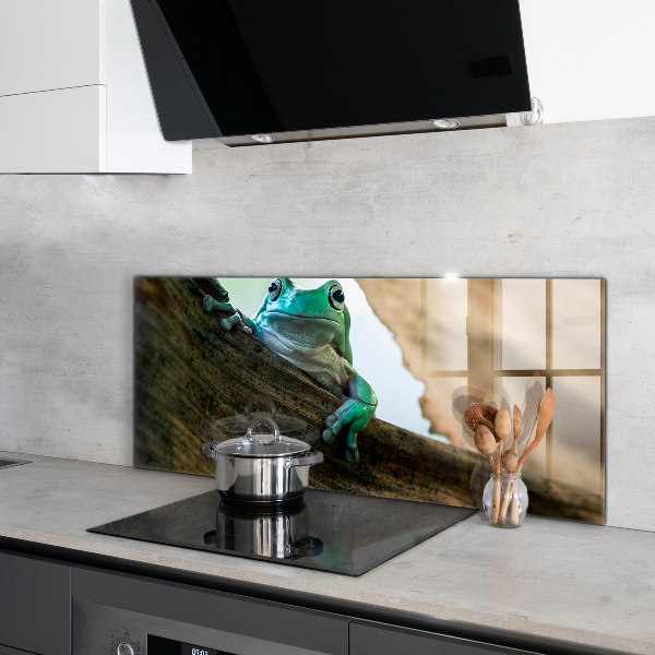 Crédence cuisine en verre Portrait de grenouille africaine