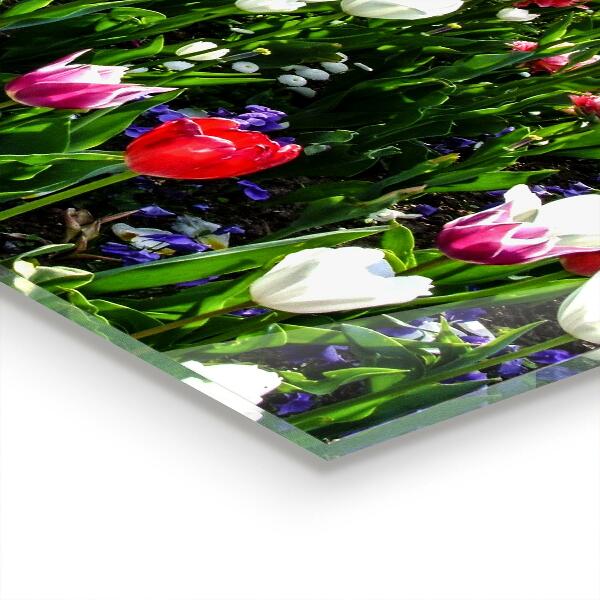 Verre pour crédence Fleurs d'été des prés