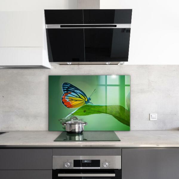 Crédence cuisine en verre Papillon posé sur une feuille