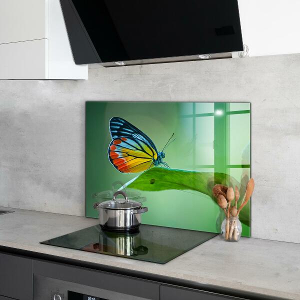 Crédence cuisine en verre Papillon posé sur une feuille