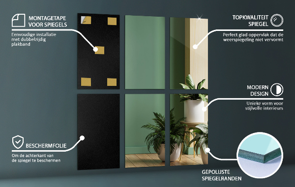 Carreaux miroir à coller 6 pce 30x20 cm