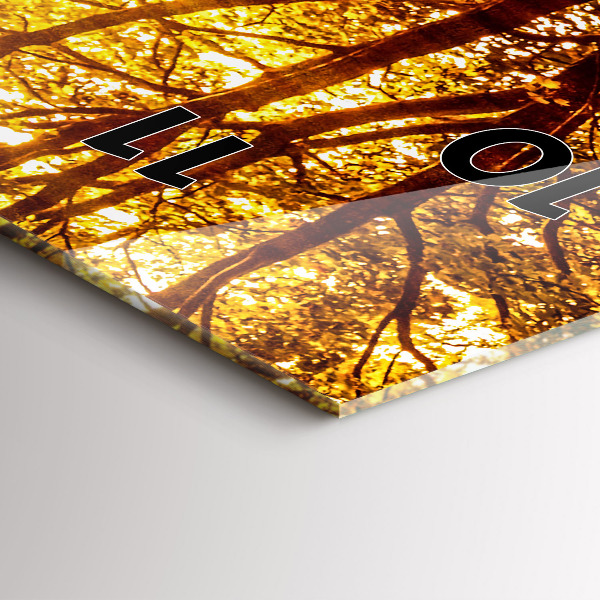 Horloge murale verticale Paysage forestier au soleil