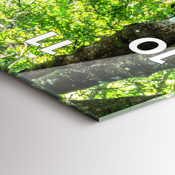 Horloge rectangulaire verticale Cascade dans la forêt