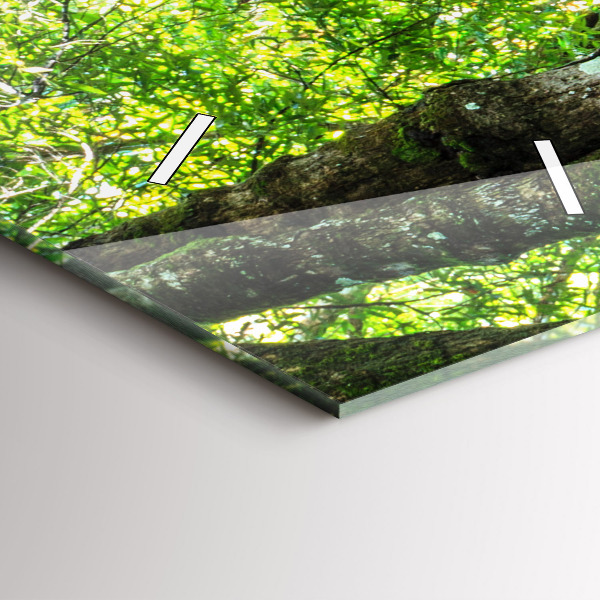 Horloge rectangulaire verticale Cascade dans la forêt