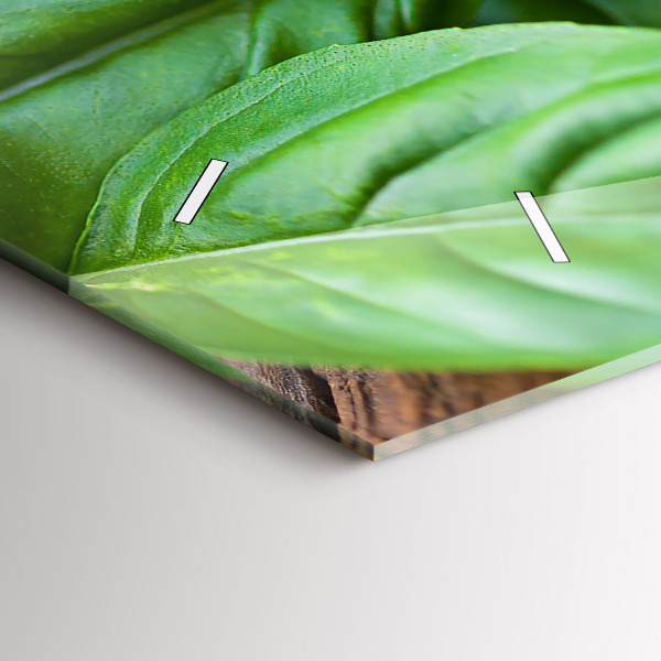 Horloge rectangulaire horizontale feuilles de basilic