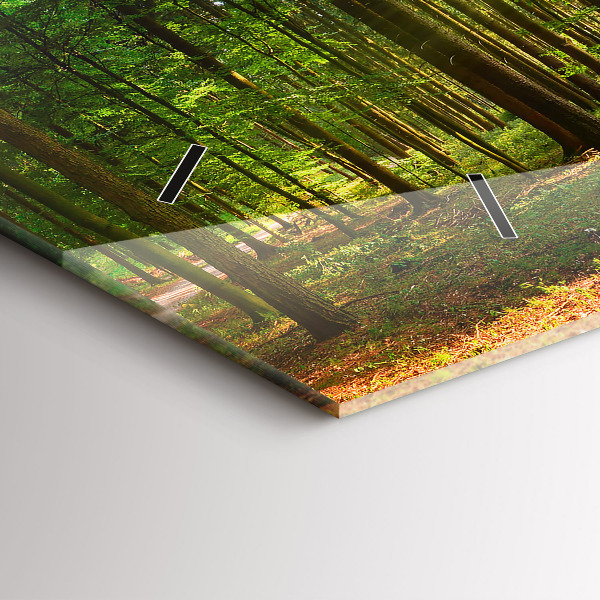 Horloge rectangulaire horizontale Lever de soleil dans la forêt