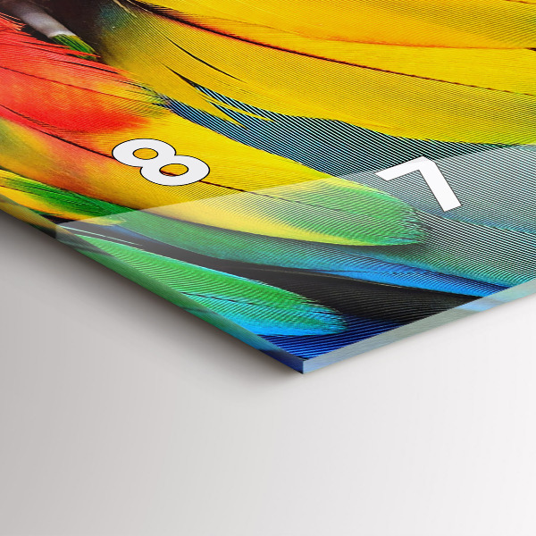 Horloge murale horizontale Ara aux ailes colorées