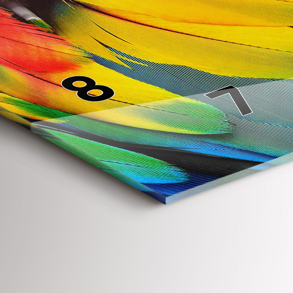 Horloge murale horizontale Ara aux ailes colorées