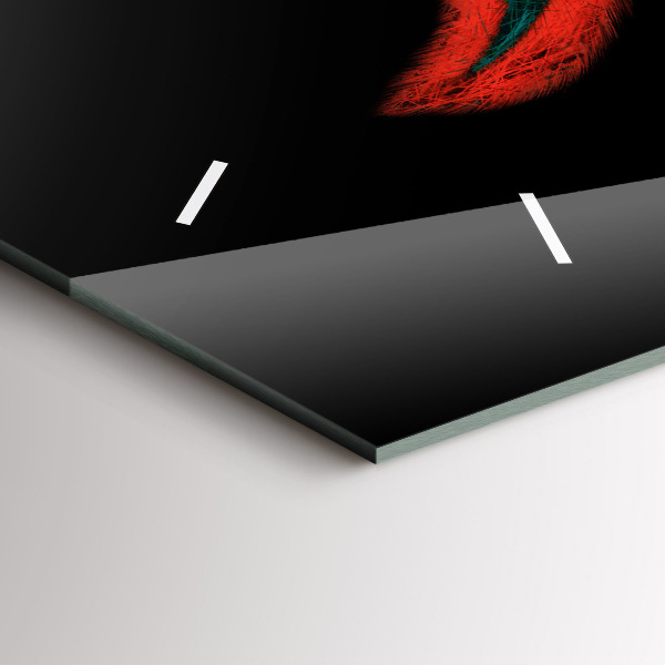 Horloge murale horizontale 'Plumes d''oiseaux colorées'