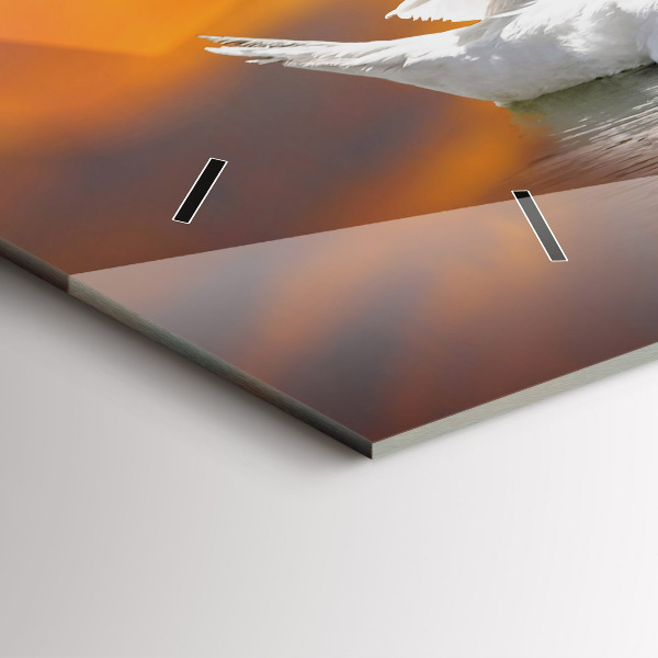 Horloge murale horizontale Cygnes amoureux