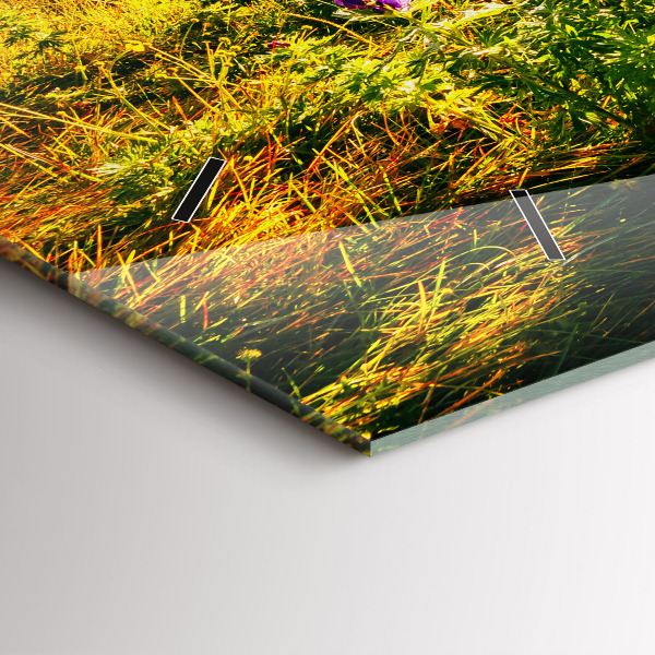 Horloge murale horizontale Prairie de lavande