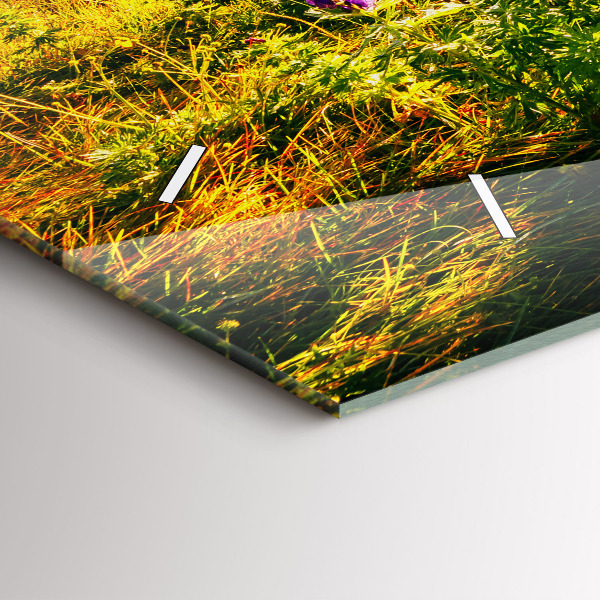 Horloge murale horizontale Prairie de lavande