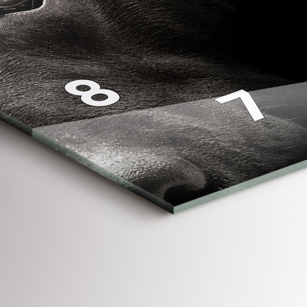 Horloge rectangulaire horizontale Chien et chat Scottish Fold